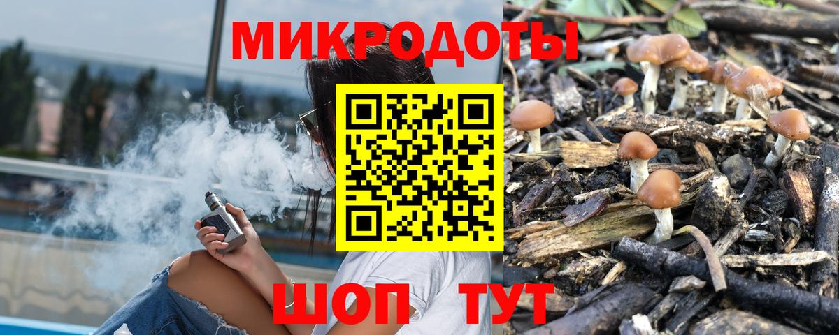 Псилоцибиновые грибы Psilocybine cubensis Когалым